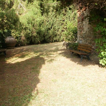 Agriturismo Il Palazzaccio Villa Galliano Bagian luar foto