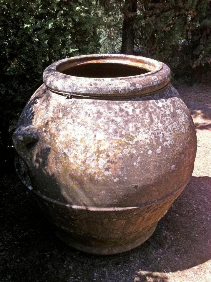 Agriturismo Il Palazzaccio Villa Galliano Bagian luar foto