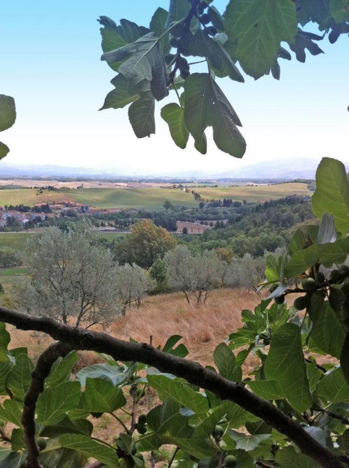 Agriturismo Il Palazzaccio Villa Galliano Bagian luar foto