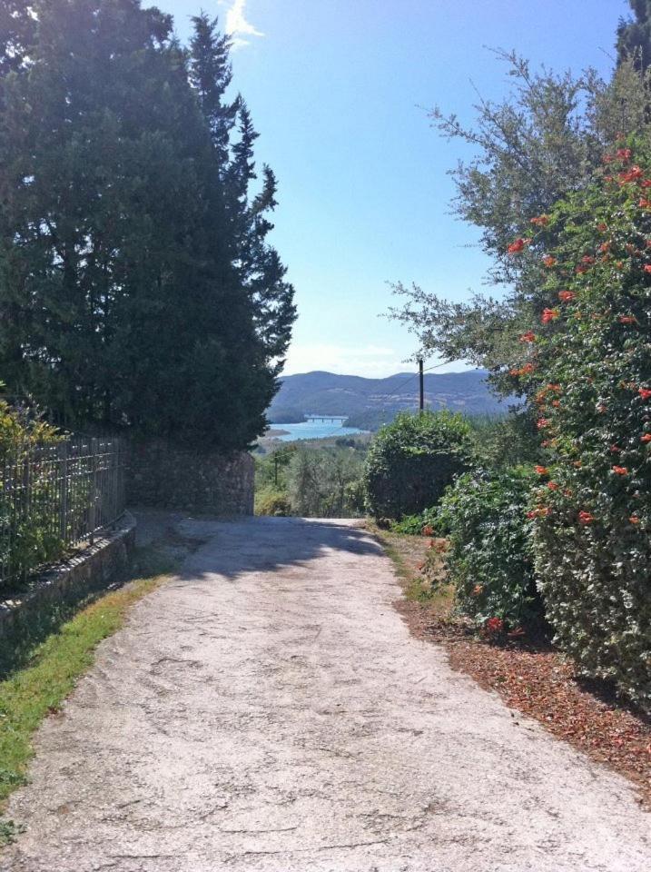 Agriturismo Il Palazzaccio Villa Galliano Bagian luar foto
