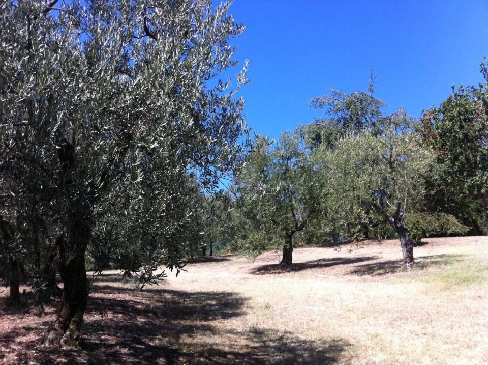 Agriturismo Il Palazzaccio Villa Galliano Bagian luar foto