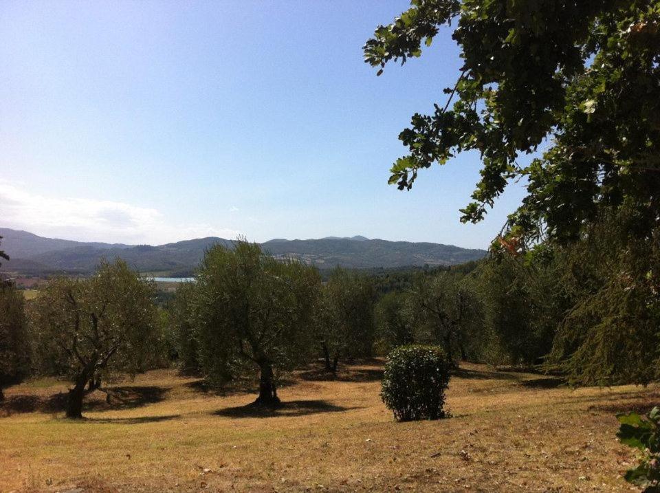 Agriturismo Il Palazzaccio Villa Galliano Bagian luar foto